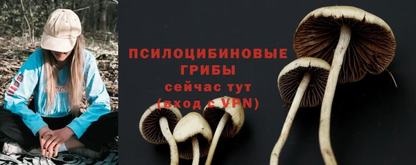 крисы Снежногорск