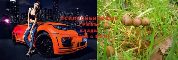 спайс Балабаново