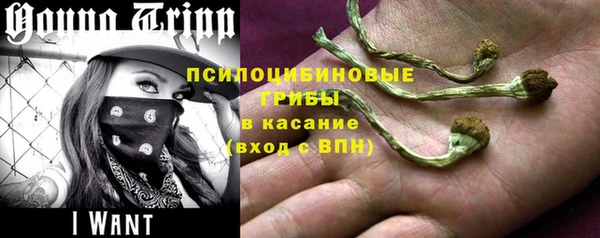 спиды Рославль