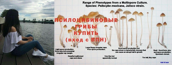 MDMA Баксан