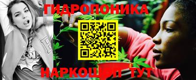 стаф Гусев