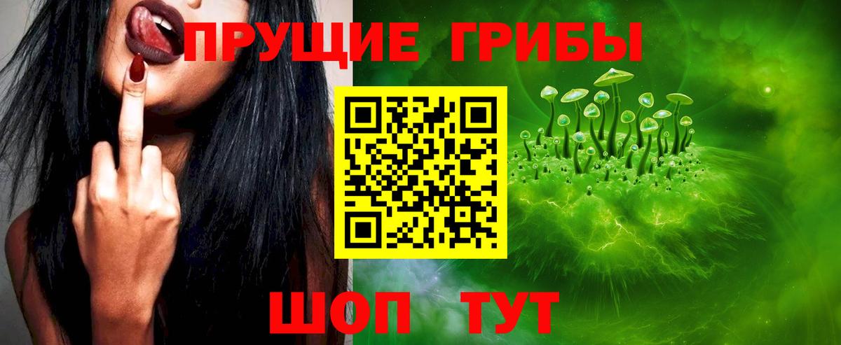 Рязань  Псилоцибиновые грибы GOLDEN TEACHER  Вход с VPN 